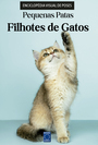 Filhotes de Gatos - Enciclopédia Visual de Poses: Pequenas Patas