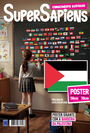 Bandeira da Palestina - SuperSapiens Posterzine