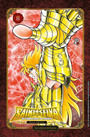 Cavaleiros do Zodíaco Saint Seiya Final Edition Vol. 08